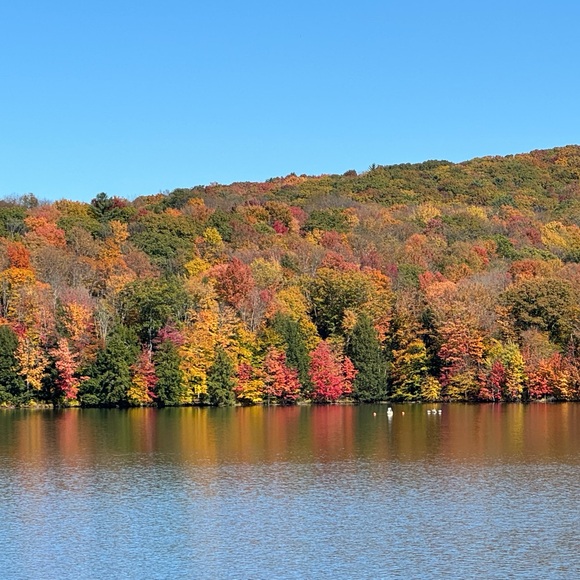 Meet your Posher, Michele - Picture 2 of 7